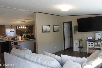 133 Peach Ln, Wartburg, TN 37887 - photo 3