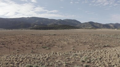 Fence Line Looking East