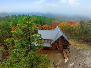 View of bird's eye view