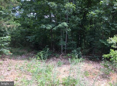 0 Blue Bell Ln unit VASH121500, Strasburg, VA 22657 - photo 3