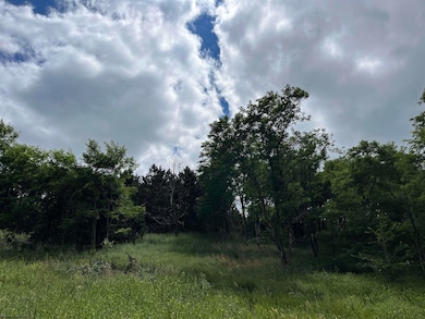 TBD Head Rd, Mount Storm, WV 26739 - photo 3