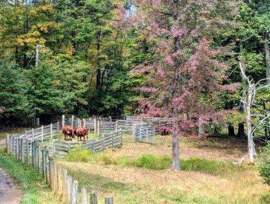 173 Hubbard Rd SW, Willis, VA 24380 - photo 2
