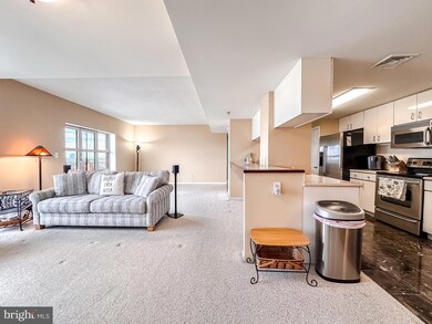 Scarlett Place unit 1103, Baltimore, MD 21202 - photo 4