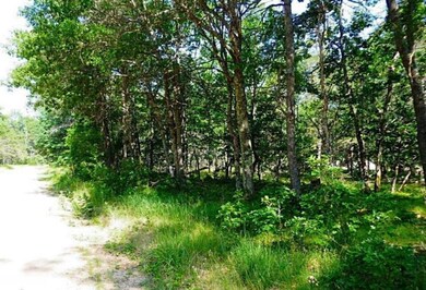 00000 Leisure Loop, Webber Township, MI 49304 - photo 4