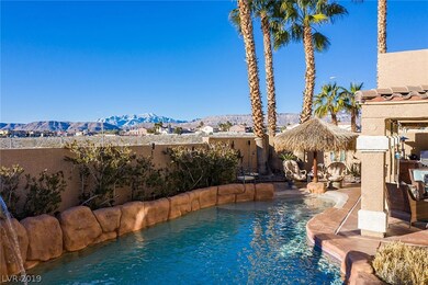 Backyard- Tropical Pool, waterfall, palapa, covere