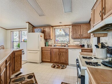 116 Virginia St, Idaho Springs, CO 80452 - photo 6