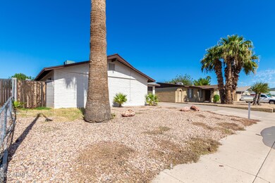 06 - Desert Cove