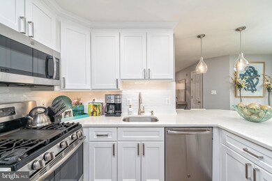 9050 Gracious End Ct unit 201, Columbia, MD 21046 - photo 7