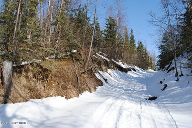 View east up trail on south edge of lot