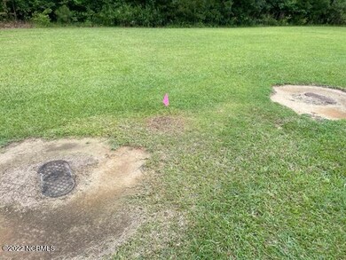 0 Dean unit 100341209, Chocowinity, NC 27817 - photo 4