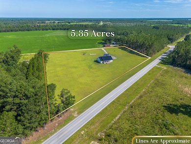 3675 Troy Rd, Blackshear, GA 31516 - photo 3