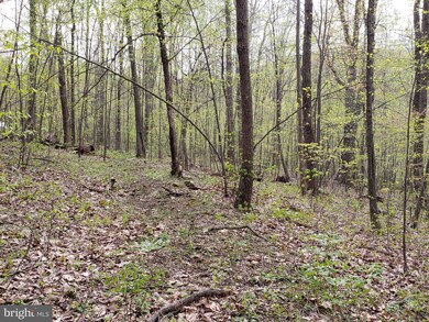 0 Mosby Springs Rd, Happy Creek, VA 22642 - photo 3