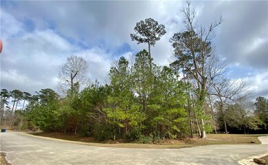 Front right corner of lot facing Pintail Trace. Th