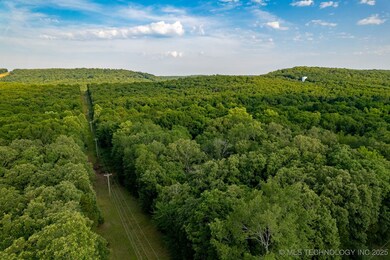 54 N Rodgers St, Vian, OK 74962 - photo 5