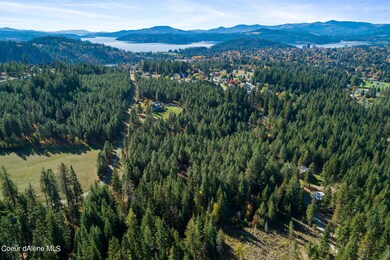 Aerial_FrostyPine-4