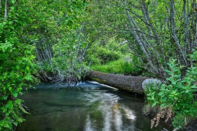 50000 Highway 62, Prospect, OR 97536 - photo 5