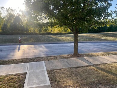 View from front door