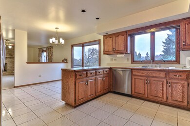 3216 Mallard Dr, Homewood, IL 60430 - photo 6