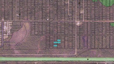 0 N 11th Ave, Avalon, FL 32583 - photo 5