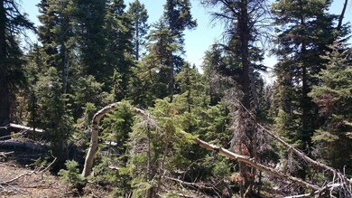 930 W Shale Cir unit ZVME E-130, Duck Creek Village, UT 84762 - photo 4