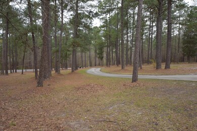 6029 Moseley Dixon Rd, Macon, GA 31220 - photo 3