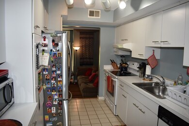 59 Amity Place, Amherst, MA 01002 - photo 6