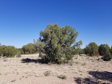 Lot 264 Juniperwood Ranch, Ash Fork, AZ 86320 - photo 7