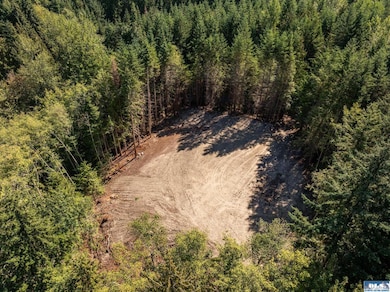 Lot 1 Sunny Dell Ln, Sequim, WA 98382 - photo 6