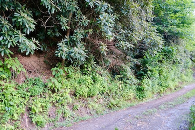 Co Rd 1701, Hendersonville, NC 28792 - photo 2