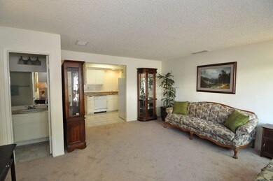 Fresh paint and carpet