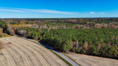 5663 Longview Dr, Kenbridge, VA 23944 - photo 6