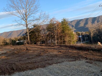 thumbnail_IMG_1999 (1)