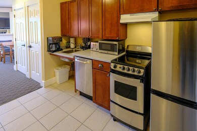 240 QIV 111 Jackson Gore Rd unit 240 QIV, Ludlow, VT 05149 - photo 5