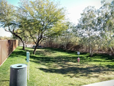 Dog Park