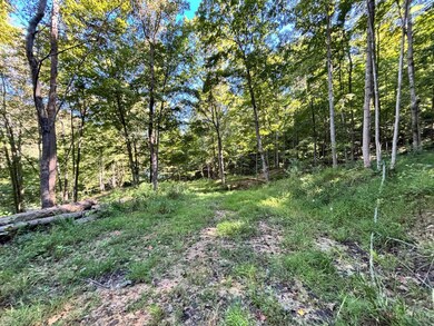 0 Coon Hollow Rd, Lucasville, OH 45648 - photo 7