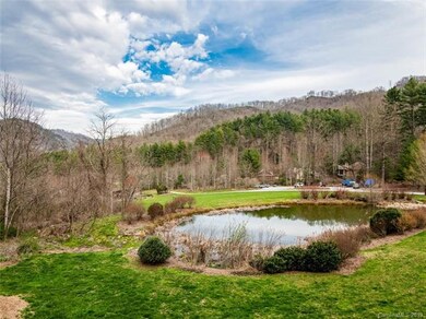 Backyard view