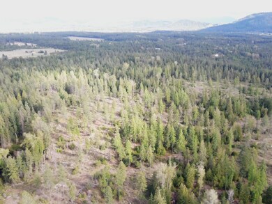 Timber