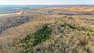 DJI_20241203090911_0353_D