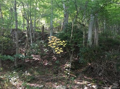 4243 Bald Mountain Rd, Burnsville, NC 28714 - photo 3