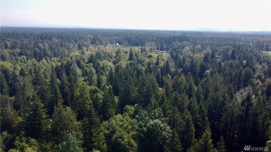 15130 Runyon Rd SE, Yelm, WA 98597 - photo 3