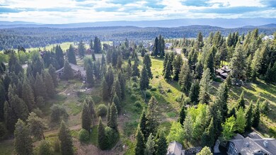 1420 Club Hill Blvd unit 4, McCall, ID 83638 - photo 5