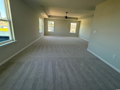 Carpeted spare room featuring a raised ceiling, ceiling fan, and baseboards