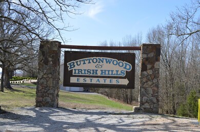 42 Irish Hills Blvd, Kimberling City, MO 65686 - photo 2