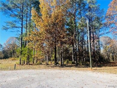 Cul-de-sac looking at Lot 33