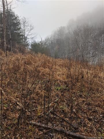 One potential homesite