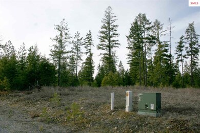 NNK B5 Northern Sky Rd, Athol, ID 83801 - photo 5