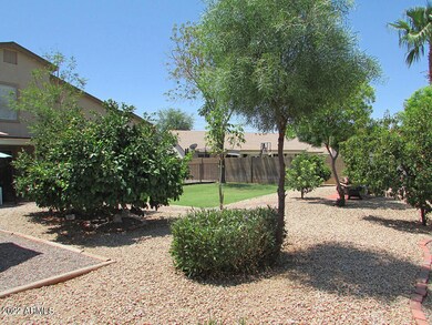 4 backyard