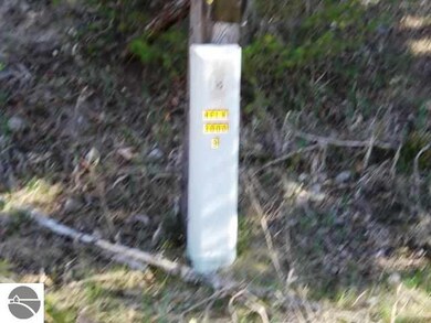 Huffman Lake Rd, Vanderbilt, MI 49795 - photo 5