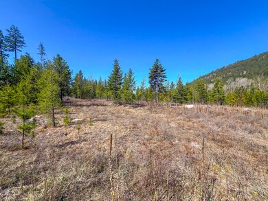 26xx Flowery Trail Rd, Chewelah, WA - photo 4