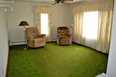 4205 N Elliston Trowbridge Rd, Graytown, OH 43432 - photo 2